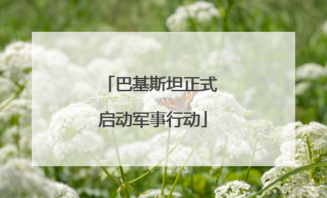 巴基斯坦正式启动军事行动