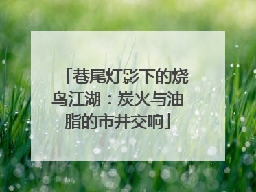 巷尾灯影下的烧鸟江湖：炭火与油脂的市井交响