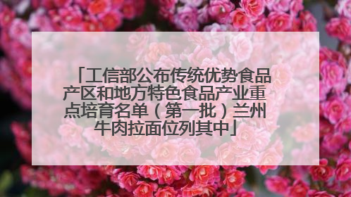 工信部公布传统优势食品产区和地方特色食品产业重点培育名单（第一批）兰州牛肉拉面位列其中