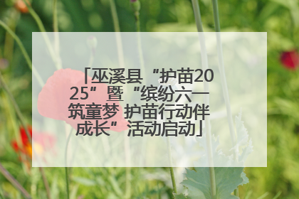 巫溪县“护苗2025”暨“缤纷六一筑童梦 护苗行动伴成长”活动启动
