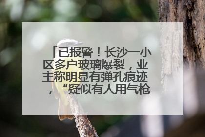 已报警！长沙一小区多户玻璃爆裂，业主称明显有弹孔痕迹，“疑似有人用气枪打鸟造成”