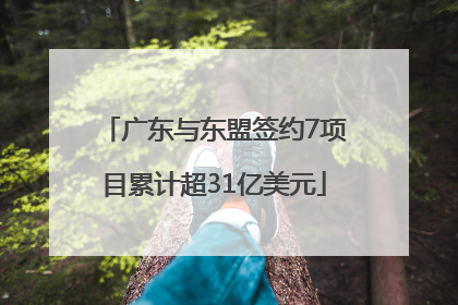 广东与东盟签约7项目累计超31亿美元