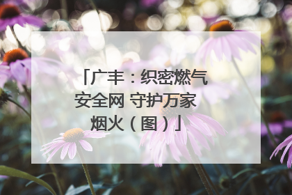 广丰：织密燃气安全网 守护万家烟火（图）