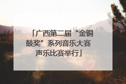 广西第二届“金铜鼓奖”系列音乐大赛声乐比赛举行
