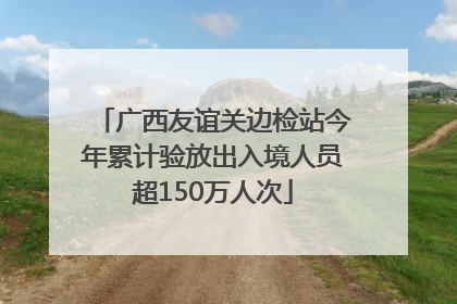 广西友谊关边检站今年累计验放出入境人员超150万人次