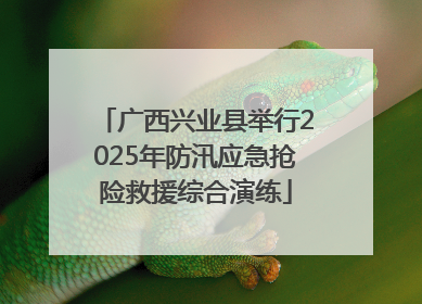 广西兴业县举行2025年防汛应急抢险救援综合演练