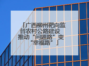 广西柳州靶向监督农村公路建设 推动“问题路”变“幸福路”