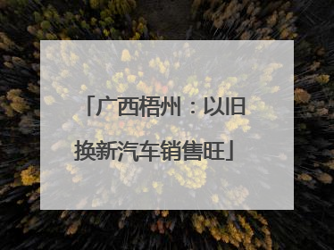 广西梧州：以旧换新汽车销售旺