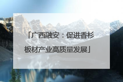 广西融安：促进香杉板材产业高质量发展