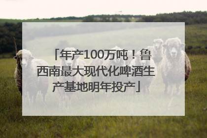 年产100万吨！鲁西南最大现代化啤酒生产基地明年投产
