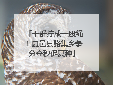 干群拧成一股绳！夏邑县骆集乡争分夺秒促夏种