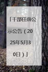 干部任前公示公告（2025年5月30日）