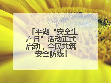 平湖“安全生产月”活动正式启动，全民共筑安全防线