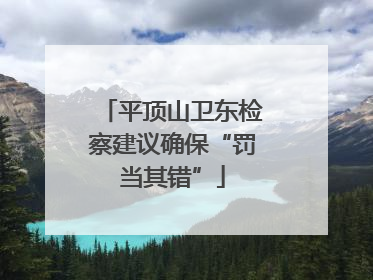 平顶山卫东检察建议确保“罚当其错”