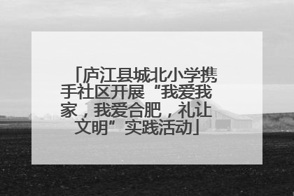 庐江县城北小学携手社区开展“我爱我家，我爱合肥，礼让文明”实践活动