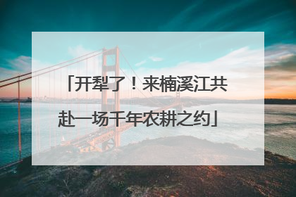 开犁了！来楠溪江共赴一场千年农耕之约