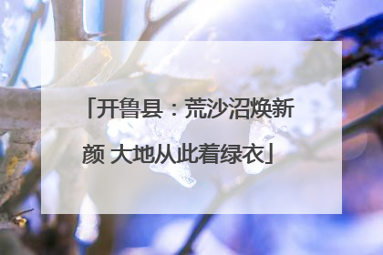 开鲁县：荒沙沼焕新颜 大地从此着绿衣