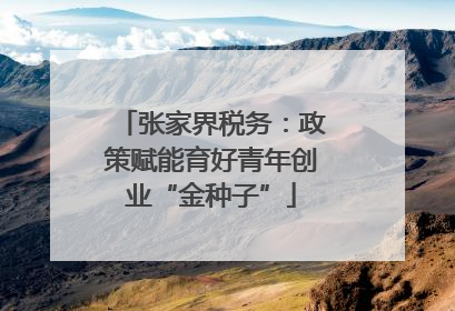 张家界税务：政策赋能育好青年创业“金种子”
