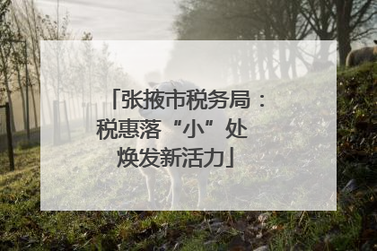 张掖市税务局：税惠落“小”处 焕发新活力