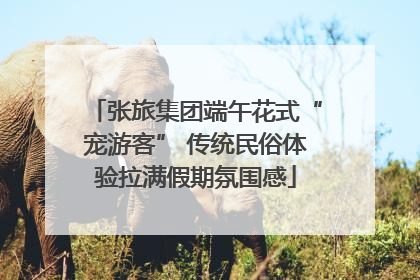 张旅集团端午花式“宠游客” 传统民俗体验拉满假期氛围感