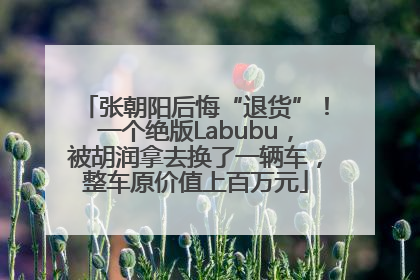 张朝阳后悔“退货”！一个绝版Labubu，被胡润拿去换了一辆车，整车原价值上百万元
