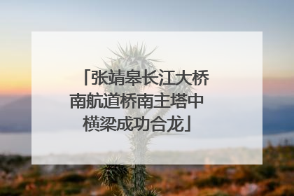 张靖皋长江大桥南航道桥南主塔中横梁成功合龙