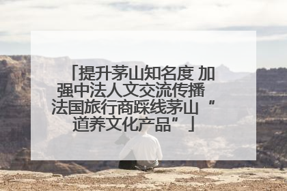 提升茅山知名度 加强中法人文交流传播 法国旅行商踩线茅山“道养文化产品”