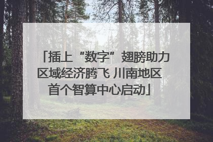 插上“数字”翅膀助力区域经济腾飞 川南地区首个智算中心启动