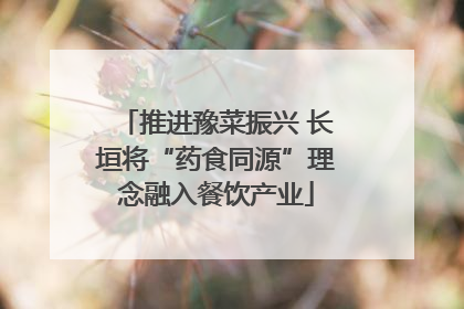 推进豫菜振兴 长垣将“药食同源”理念融入餐饮产业
