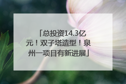总投资14.3亿元！双子塔造型！泉州一项目有新进展