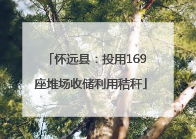 怀远县：投用169座堆场收储利用秸秆