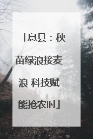 息县：秧苗绿浪接麦浪 科技赋能抢农时