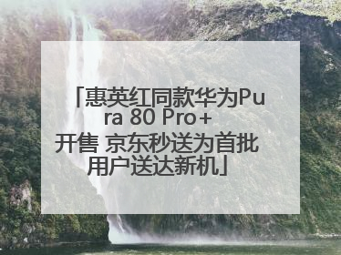 惠英红同款华为Pura 80 Pro+开售 京东秒送为首批用户送达新机