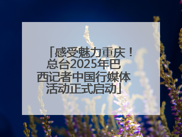 感受魅力重庆！总台2025年巴西记者中国行媒体活动正式启动