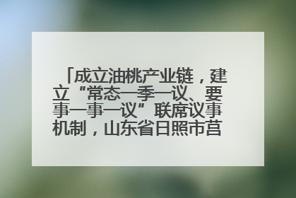 成立油桃产业链，建立“常态一季一议、要事一事一议”联席议事机制，山东省日照市莒县果庄镇——13个党小组“全周期”育果