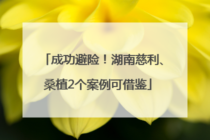成功避险！湖南慈利、桑植2个案例可借鉴