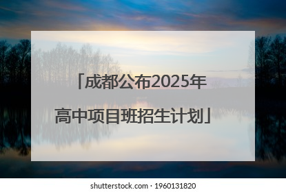 成都公布2025年高中项目班招生计划