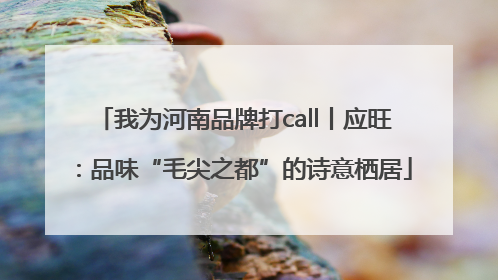 我为河南品牌打call丨应旺：品味“毛尖之都”的诗意栖居