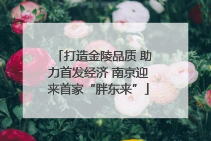 打造金陵品质 助力首发经济 南京迎来首家“胖东来”