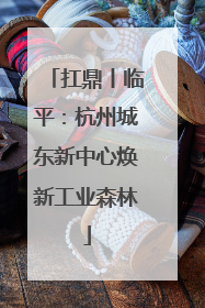 扛鼎丨临平：杭州城东新中心焕新工业森林