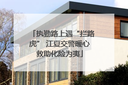 执勤路上遇“拦路虎” 江夏交警暖心救助化险为夷