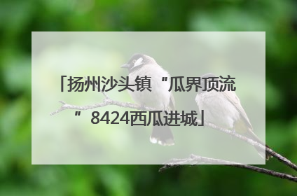扬州沙头镇“瓜界顶流”8424西瓜进城