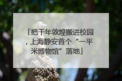 把千年敦煌搬进校园，上海静安首个“一平米博物馆”落地