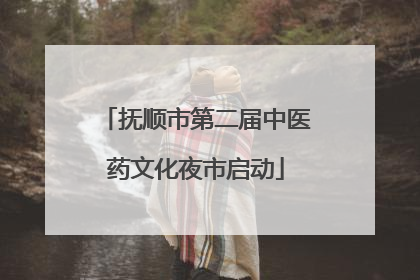 抚顺市第二届中医药文化夜市启动