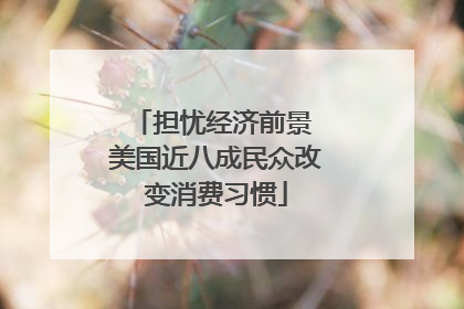 担忧经济前景 美国近八成民众改变消费习惯