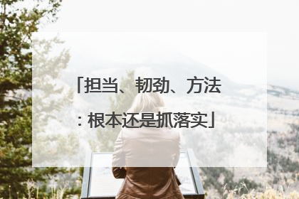 担当、韧劲、方法：根本还是抓落实