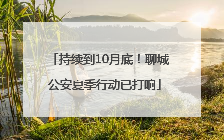持续到10月底！聊城公安夏季行动已打响