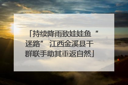 持续降雨致娃娃鱼“迷路” 江西金溪县干群联手助其重返自然