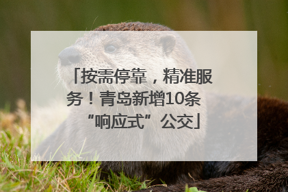 按需停靠，精准服务！青岛新增10条“响应式”公交