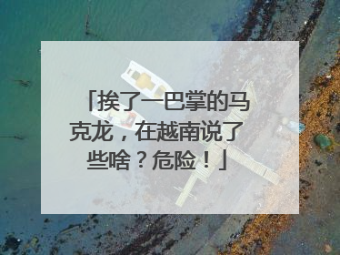 挨了一巴掌的马克龙，在越南说了些啥？危险！